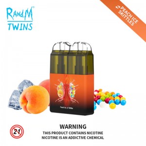 RandM Twins 6000 puffs Groothandel Weggooibare Vape-toestel