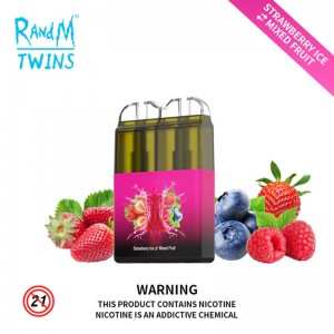RandM Twins 6000puffs Großhandel Einweg-Vape-Gerät