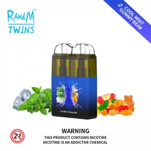 RandM Twins 6000puffs Großhandels-Einweg-Vape-Gerät