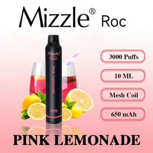 Mizzle 10ml 3000puffs Rechargeable Fruit Flavors Esmoke vape
