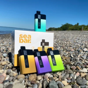 Sea Bar Vape prix d'usine E cigarette stylo Vape jetable rechargeable 5500 bouffées de bobine de maille Vapes