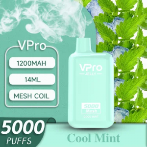 Hurtownia 5000 Puffs vpro Niestandardowe jednorazowe produkty elektroniczne bez nikotyny