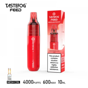 Kit de vape pour cigarette électronique rechargeable et remplaçable Tastefog Feed Vape 4000 bouffées