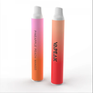 Tpd-godkjent 600 puff Mesh Coil Mini e-sigarett EU Hot Selger Disponibel Vape Pod