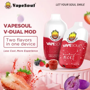 Vapesoul V-Dual Mesh Coil 5000 Puffs Alkuperäinen Itsuwa Box Eif Vapes Puff Vape Mod Kertakäyttöinen Vape