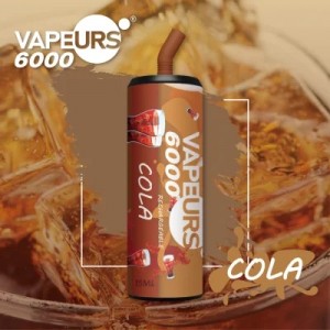 Batería recargable Vapeurs 6000 Puffs Mesh Coil 15ml E Jucie Voltbar Wholesale Vape Pen