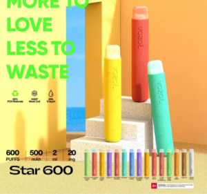 Vozol Star 600 Wholesale I Vape Newest Disposable Vape Handle E Ndudu 500mAh Vape Pen 2ml E Liquid