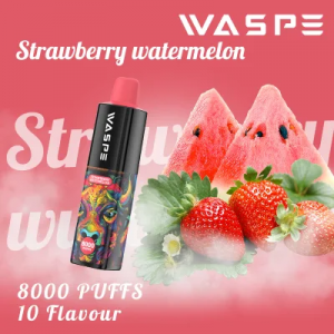 Waspe 8000 puffs 5% Nikotien Weggooibare Vape Pen 16ml E-Liquid