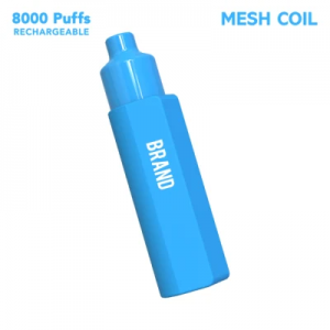 Χονδρική χονδρική πένα ατμού 8000 Puffs 16ml E Juice Double Mesh Coil Vaporizer