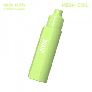 Wholesale Disposable Vape Pen 8000 Puffs 16ml E Juice Double Mesh Coil Vaporizer