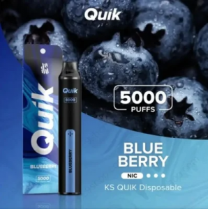 Jednokratna e-cigareta Quik 5000 Puffs Vape Vaporizer