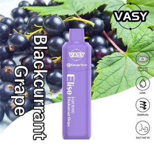 Factory Price Kangertech ndi Vasy Elise Co-Branding 5000 Puffs Disposable Vape