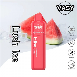 Presyo ng Pabrika Kangertech at Vasy Elise Co-Branding 5000 Puffs Disposable Vape