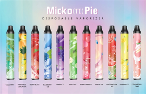 New Coming Veiik Micko Pie ຂາຍສົ່ງລາຄາໂຮງງານ Mini 600 Puffs Disposable Vape Pen