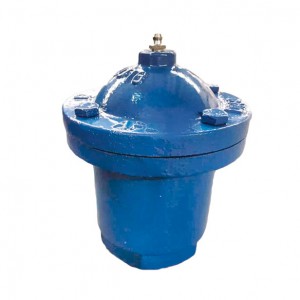 Bhora rimwechete/double orifice air release valve