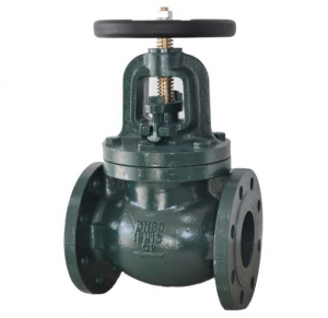 Cast iron globe valve (yakaderera / yepakati kudzvanywa)