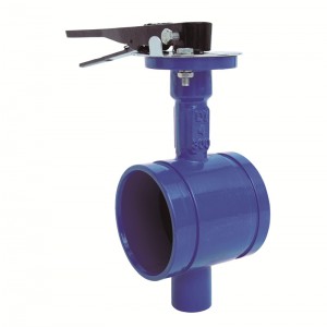 Center Line Grooved Type Butterfly Valve