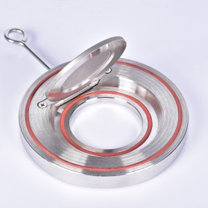 Sandwich type single disc swing check valve