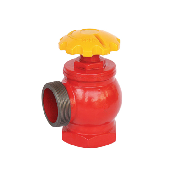 ຮູບພາບທີ່ໂດດເດັ່ນຂອງ hydrant ໄຟໃນລົ່ມ