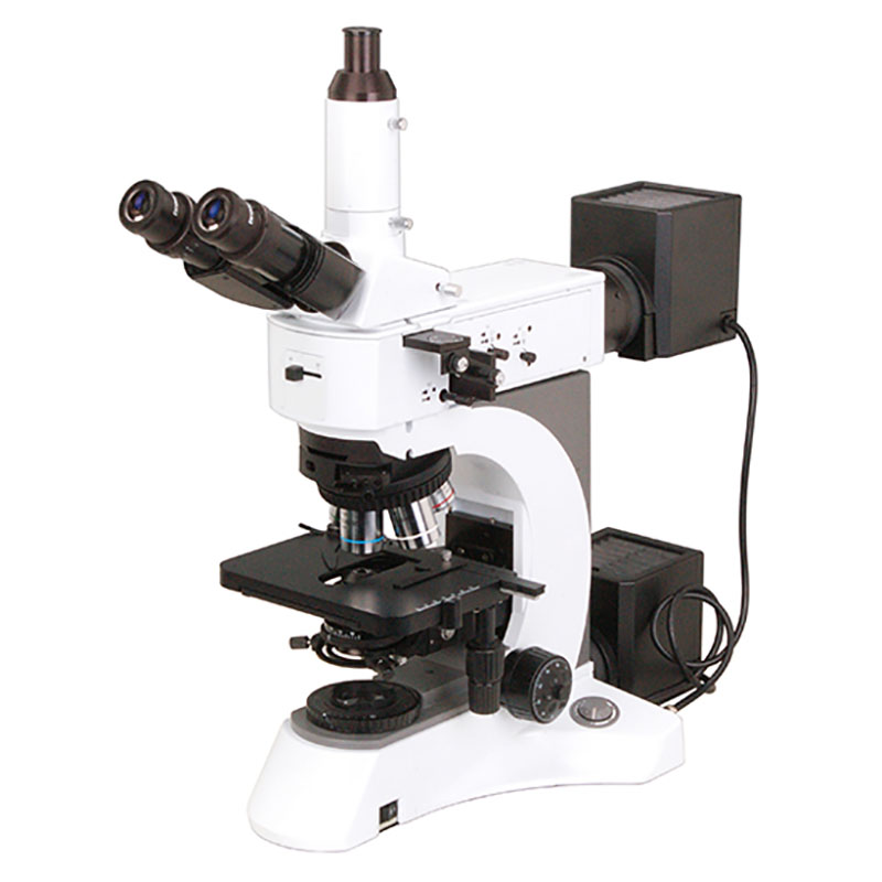 BS-6022RF ဓာတ်ခွဲခန်း Metallurgical Microscope