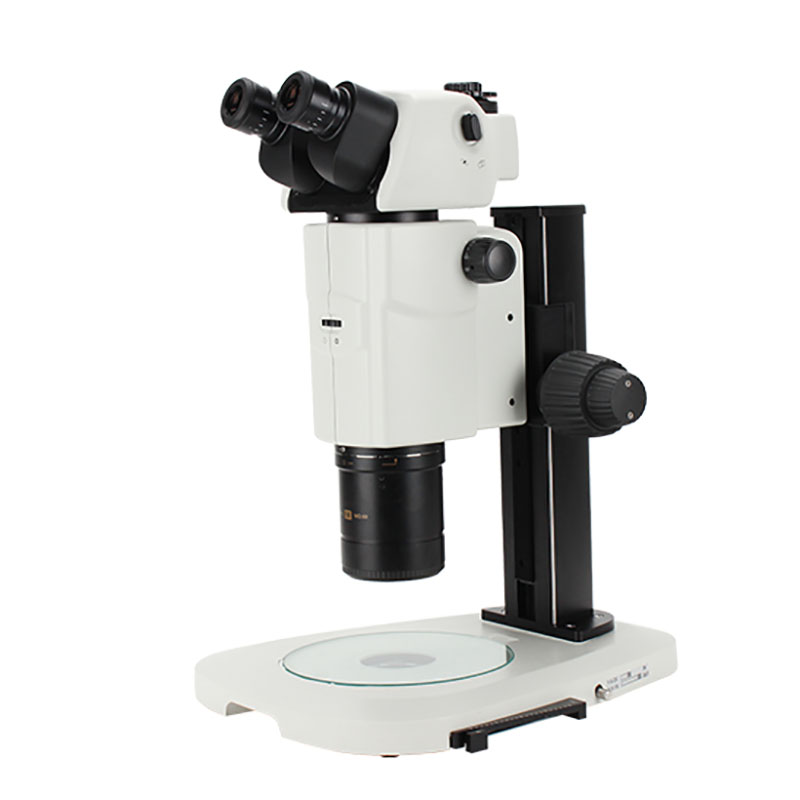 BS-3090 Parallel Lux Zoom Stereo Microscopia