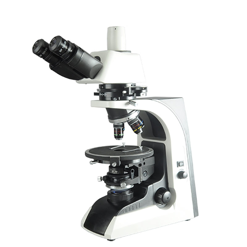 The best microscopes in 2023 | Digital Camera World