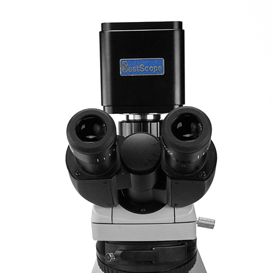 BWHC2-4K8MPB Caméra microscope multi-sorties 4K HDMI/RÉSEAU/USB (capteur Sony IMX485, 4K, 8,0 MP)