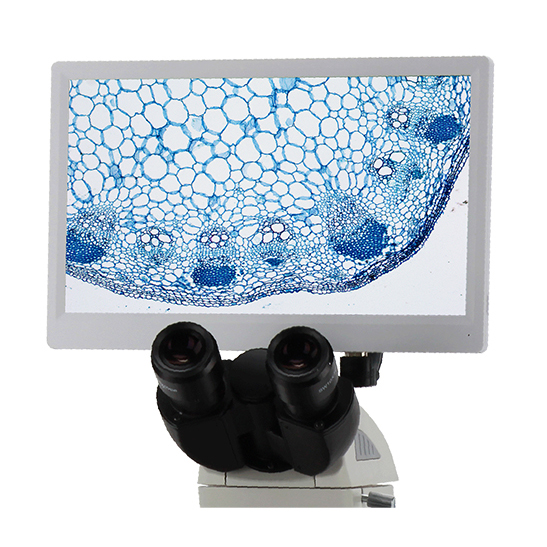 Camera di microscopiu digitale LCD BLC-250A