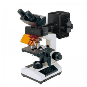 BS-2030FB lyuminestsent binokulyar biologik mikroskop