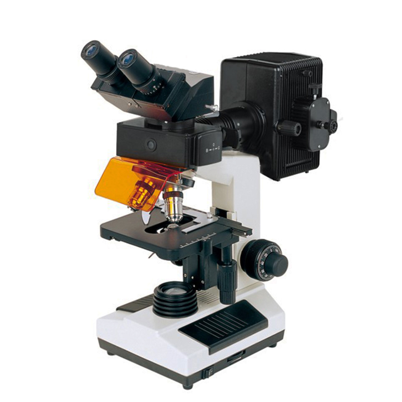 BS-2030FB miocroscop bith-eòlasach flùraiseach binocular
