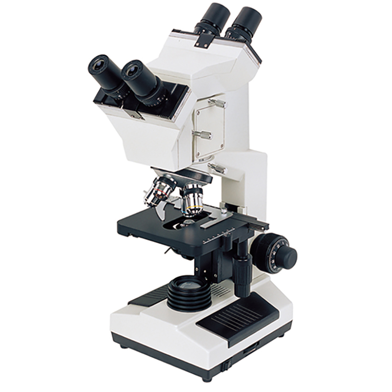 Microscope multi-têtes BS-2030MH4A