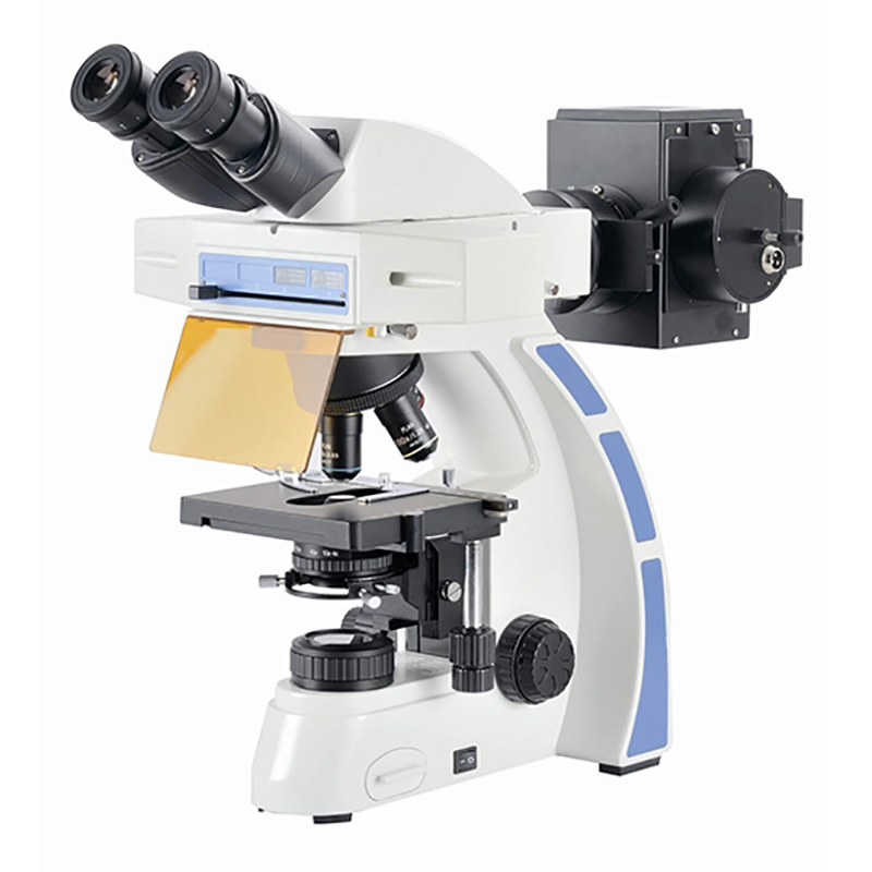 Microscopio biologico binoculare fluorescente BS-2044FB