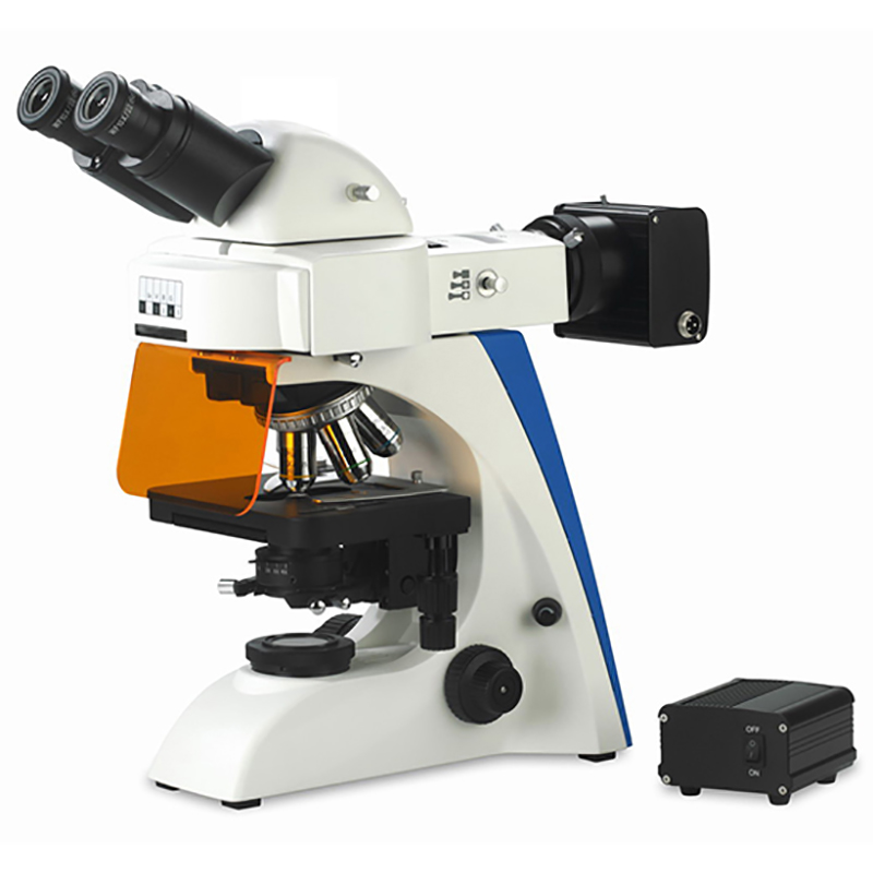 BS-2063FB(LED) LED floresan binokulyar mikroskop