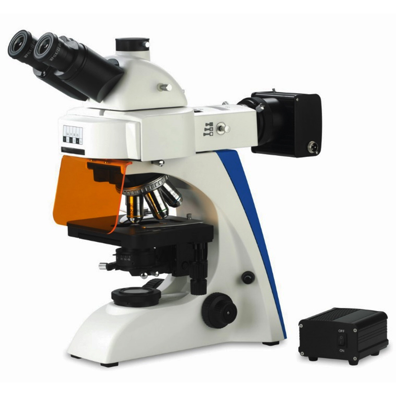 Microscopi trinocular de fluorescència LED BS-2063FT(LED).