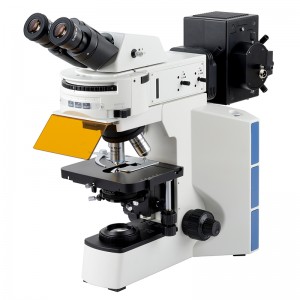 BS-2064FB Fluorescent Binocular Biological Microscope