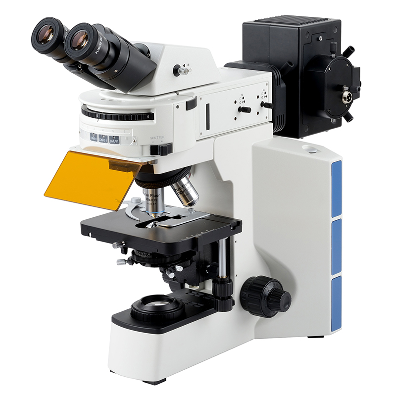 BS-2064FB Fluoresensi Binocular Mikroskop Biologis