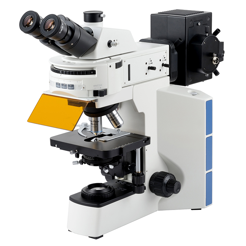 BS-2064FT Microscopio biologico trinoculare fluorescente