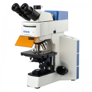 Mikroskop Biologi Trinokuler Fluoresen LED BS-2064FT(LED).