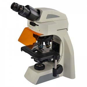 Microscopi binocular de fluorescència LED BS-2073FB(LED).