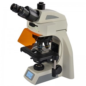 Microscope trinoculaire à fluorescence LED BS-2074FT(LED)