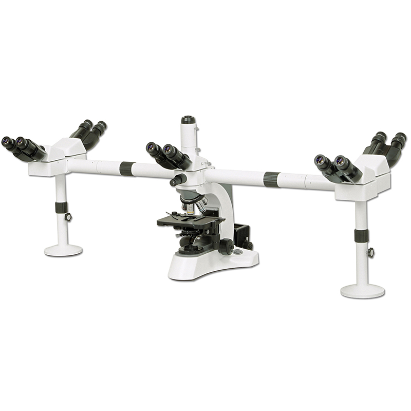 Microscopi multicapçal BS-2080MH10