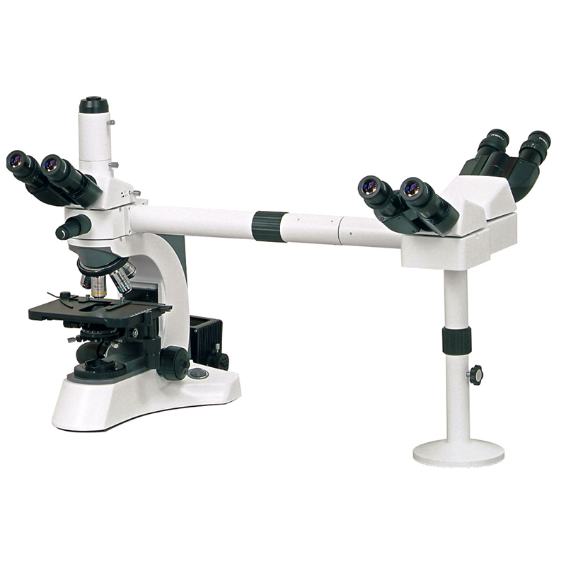 BS-2080MH6 mikroskop z več glavami