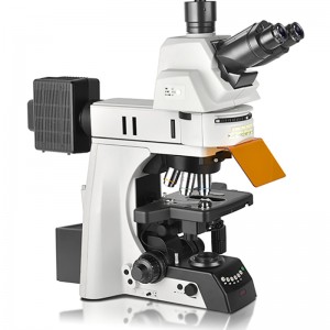 BS-2083F tadqiqot lyuminestsent biologik mikroskop
