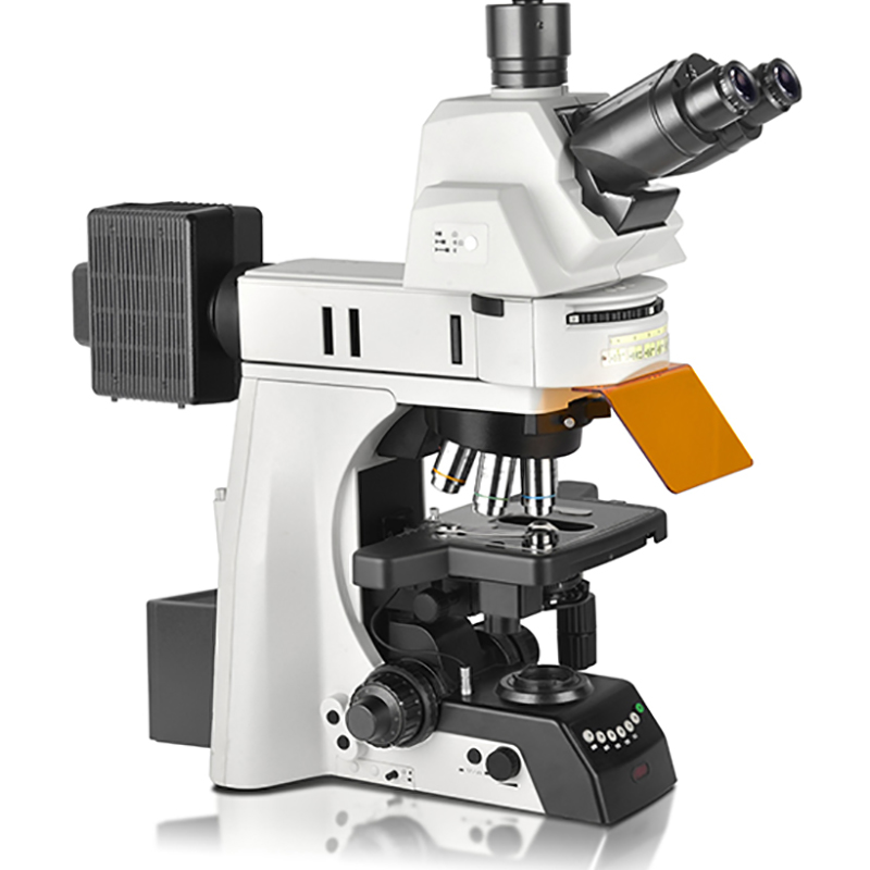 I-BS-2083F Research Fluorescent Biological Microscope