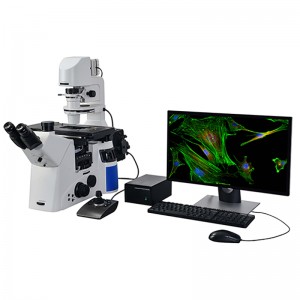 BS-2095FMA motorisert invertert fluorescerende mikroskop