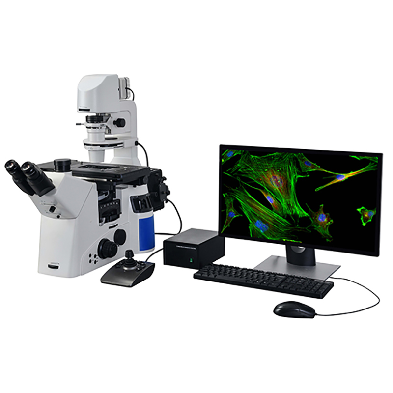 BS-2095FMA Motorlu Ters Floresan Mikroskop