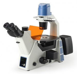 BS-2091F Fluoresensi Inverted Mikroskop biologis