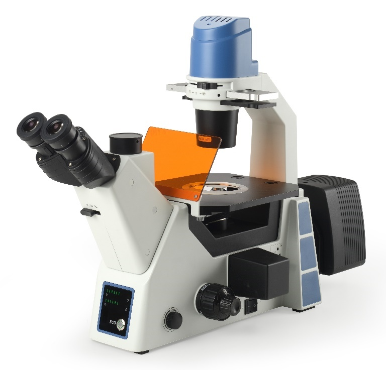 BS-2091F Fluoreska Inversa Biologia Mikroskopo
