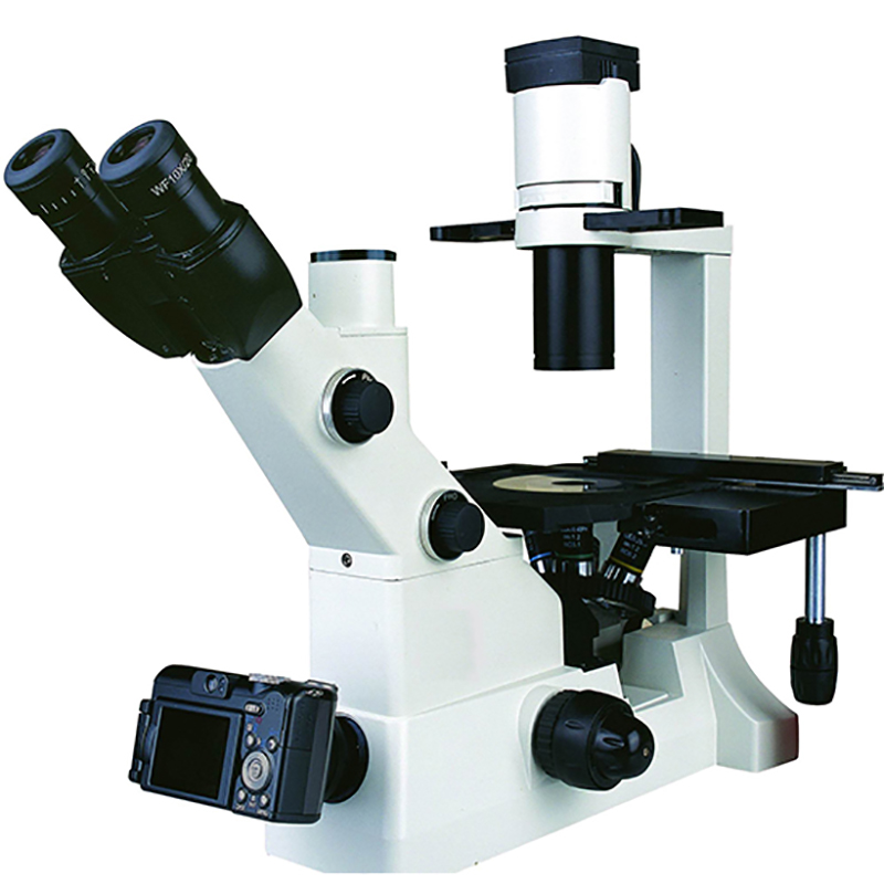 BS-2092 Αντεστραμμένο βιολογικό μικροσκόπιο
