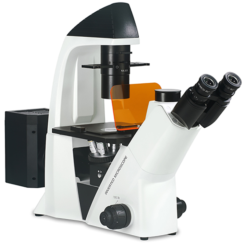 Microscope biologique inversé fluorescent BS-2093AF